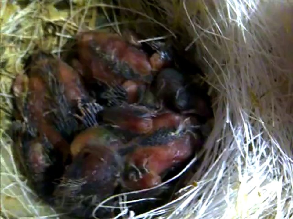 VID-20140511-00016