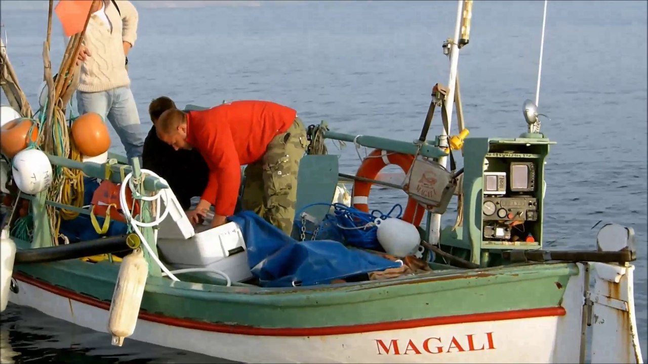 Initiation on post-larval collection in LANDEAU project - The CARE light trap