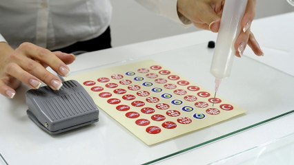 Domesline D-160 Kullanım Kılavuzu