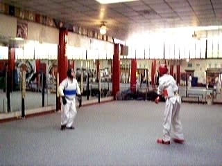 tae kwon do sparing