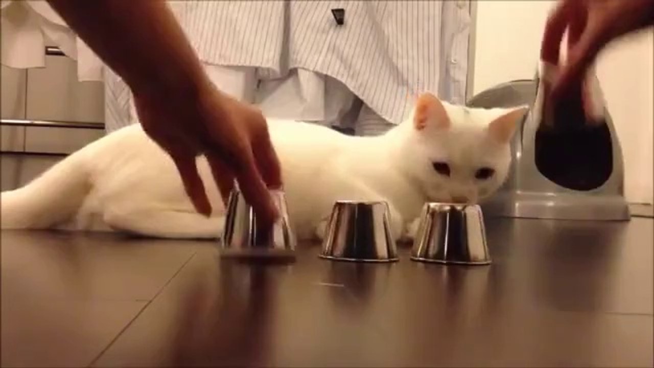 Kleines Spiel gefällig