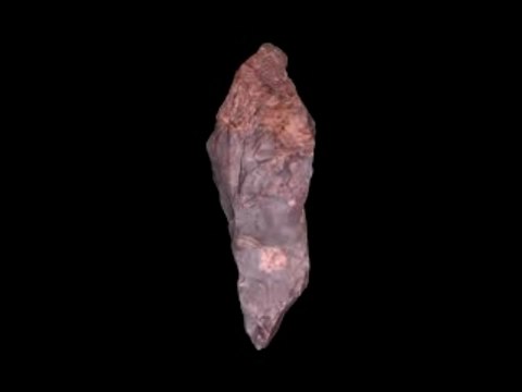 Homo-Habilis Hand-Axe