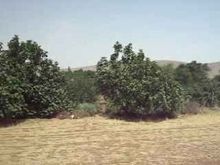 Paysage des Aurès - Tinibaouine