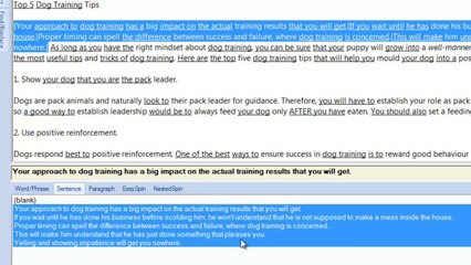 4.Working with the Spinner - Manually Spinning Sentences and Paragraphs-TBS 2-4