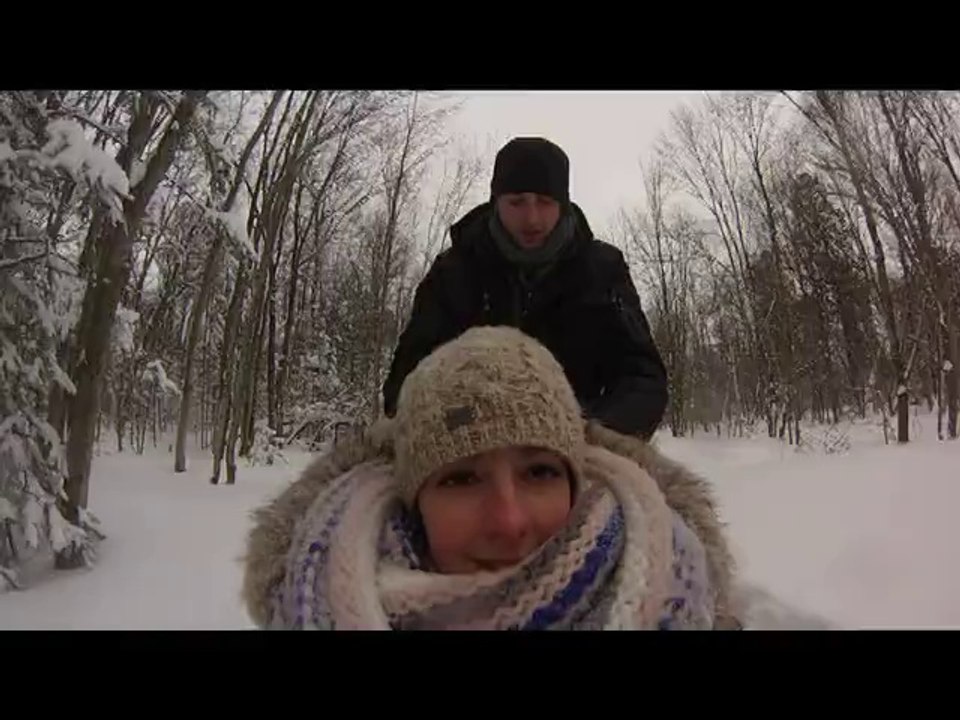 Chiens de traineau Denis&Alexia Canada 2014