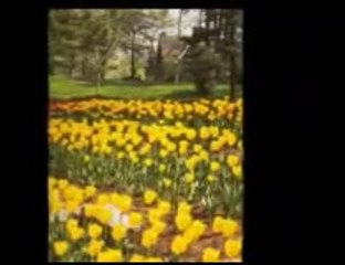 Farid Farjad -  Yalnızlık Kutsaldır