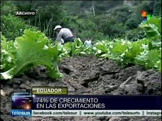 Exportaciones de Ecuador han crecido 74% en los últimos siete años