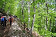 DOM.11-05-14 P.N.MAJELLA: MONTE PIZZALTO(1966 METRI) IN TRAVERSATA.