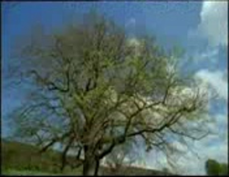 NIZAME HASTI CHALA RAHA HE WAHI KHUDA HE (by zahid rajpoooot 03069100071)