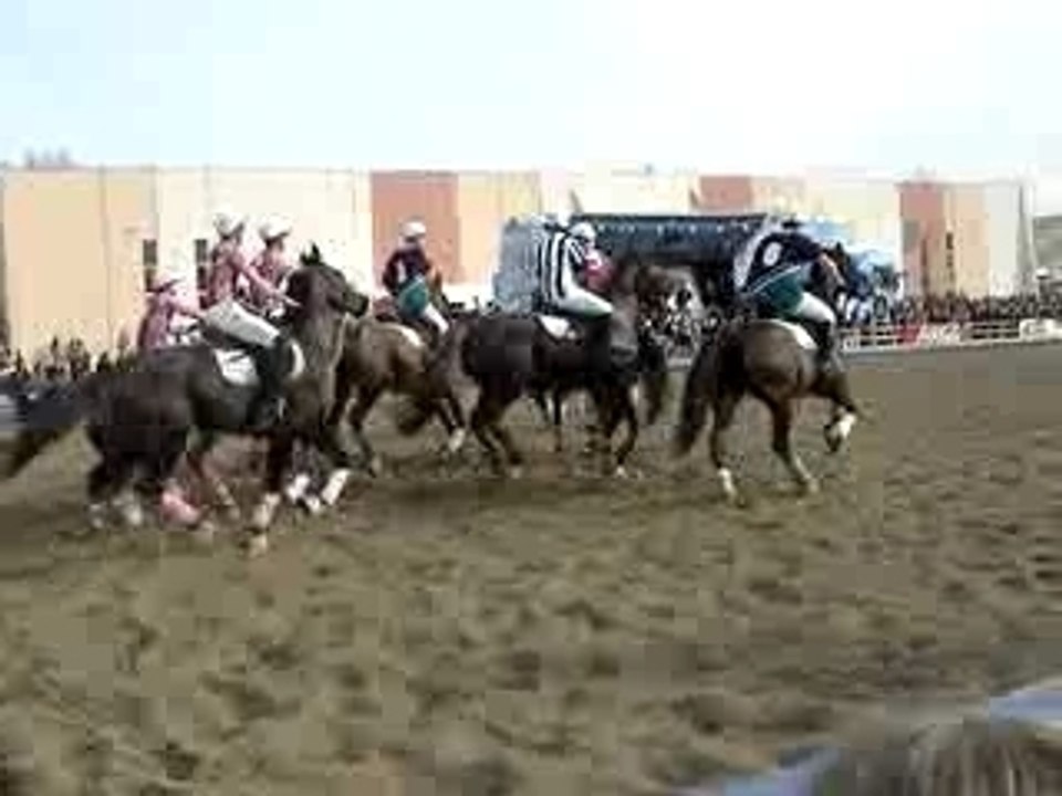 CHEVAL PASSION 2007 017