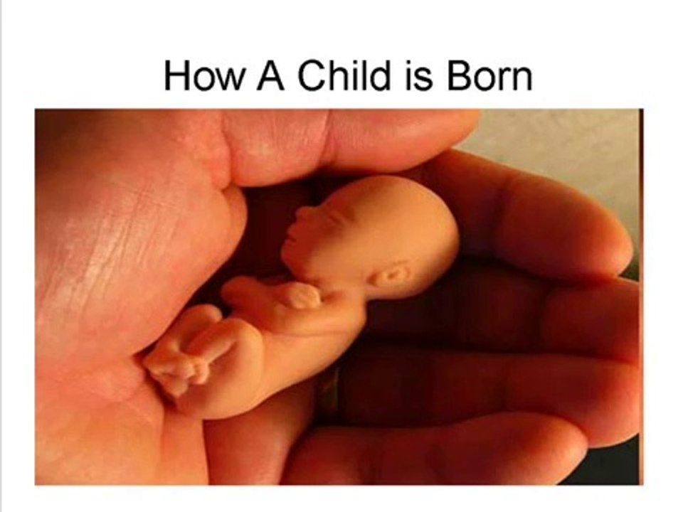 How A Child is Born - (Part-I)