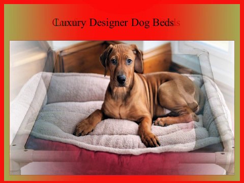 Buy Online Luxury Pet Dog Beds
