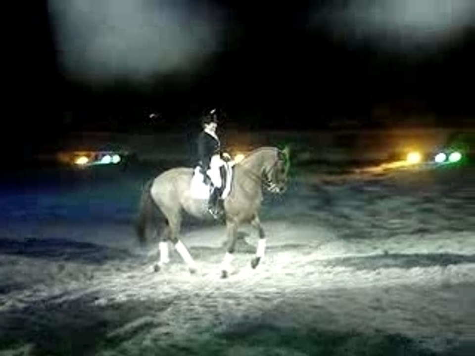 CHEVAL PASSION 2007 038