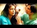 Shahid Kapoor Abused Priyanka Chopra @ IIFA