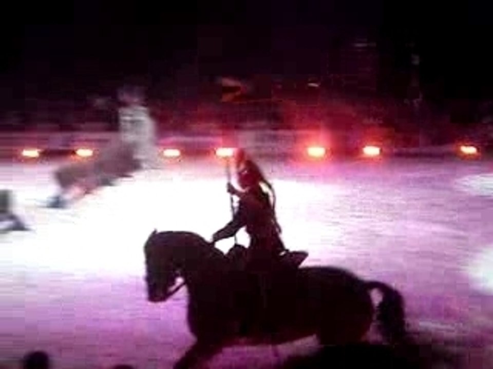 CHEVAL PASSION 2007 040