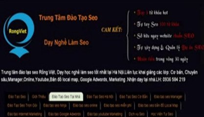 Đào Tạo Seo - Rồng Việt