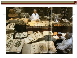 Un herbier : des plantes et des concepts (cycle Herbier national 4/4)