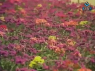 47 Natkal Movie Songs - Ival Unnai Song