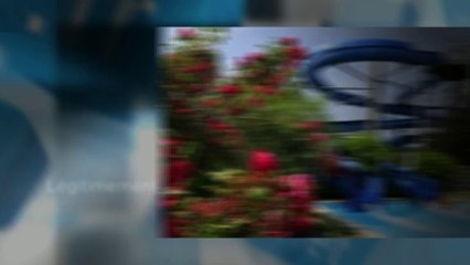 Nouvelles Extensions