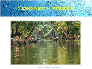 Black Manta Luxury Liveaboard 🚤