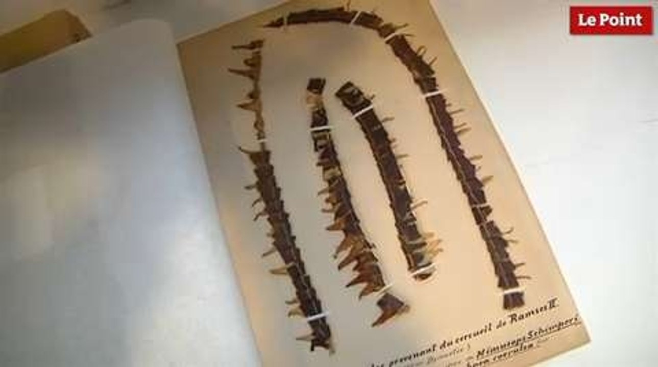 Les incroyables trésors de l’Histoire : les guirlandes de fleurs de Ramsès II.