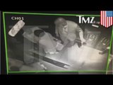 Jay Z attacked by Solange in elevator as sister Beyonce watches (video)