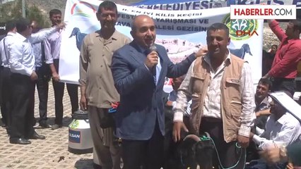 Kilis'te En İyi Keçi Yarışması Düzenlendi