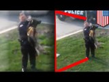 K-9 dog abuse: Hammond, Indiana police officer on leave after video goes viral