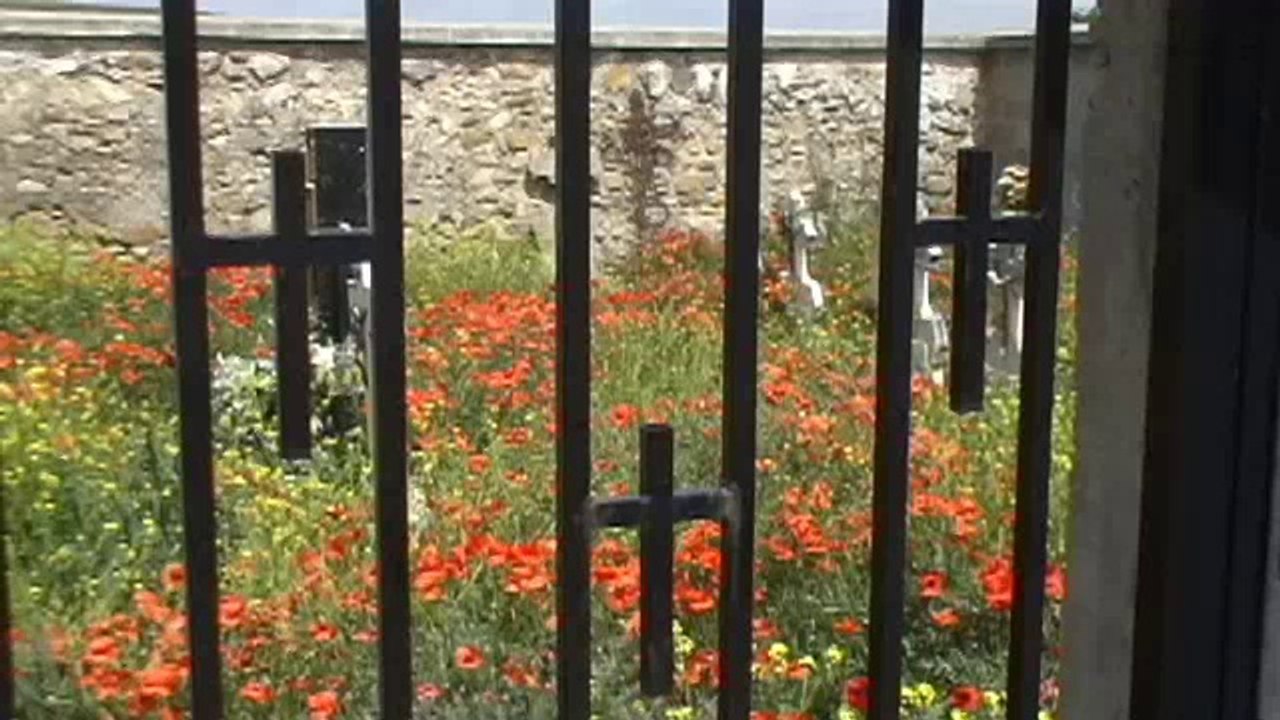 Camino de Santiago, Parts 1-6, Episode 78-84