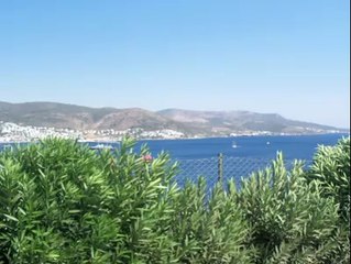 İki Arkadaş Hikayesi