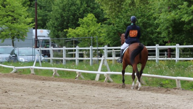 14-05-08 - Dressage CCE Am2GP Jardy