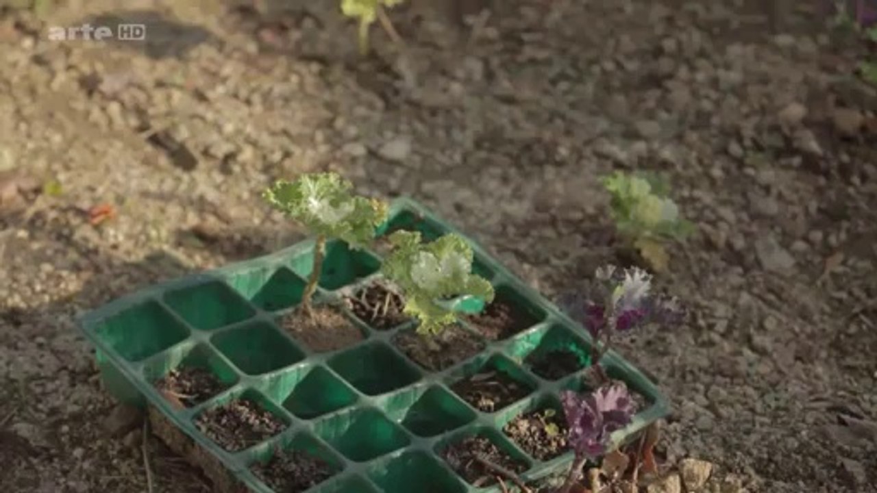 Die Todeszone rund um Fukushima