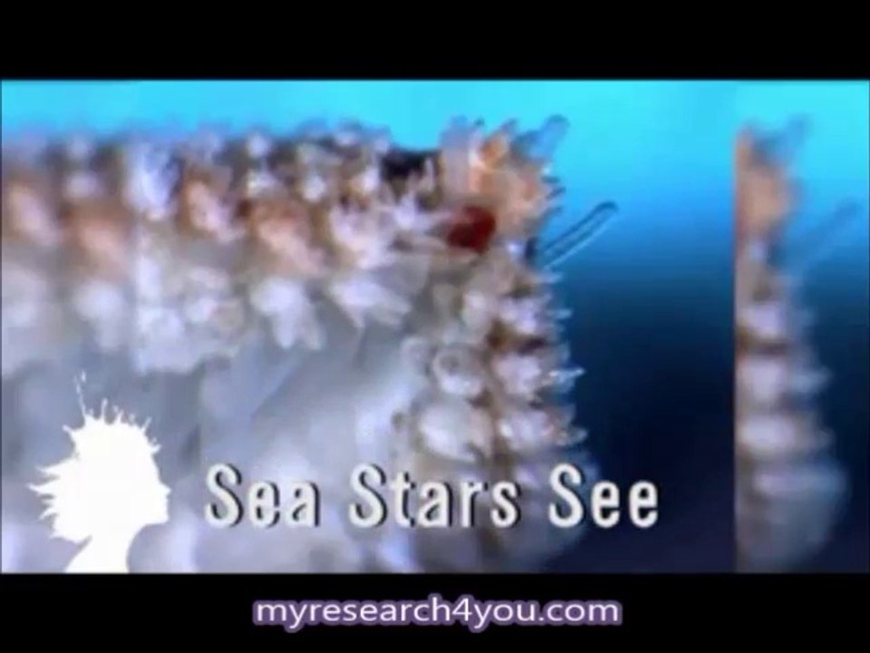 Top 10 Amazing stuffs to blow your Mind Part 1