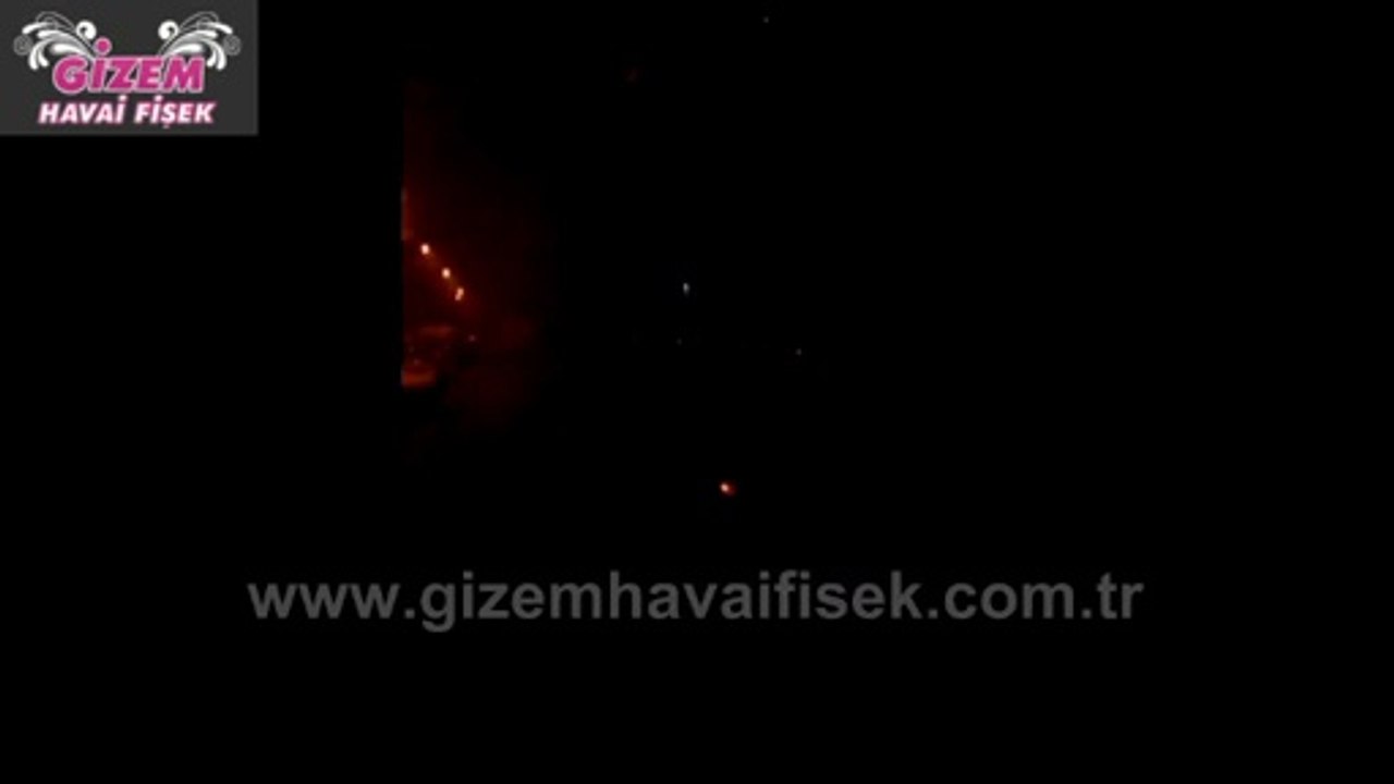 2 İnç Kaktüs Havai Fişek