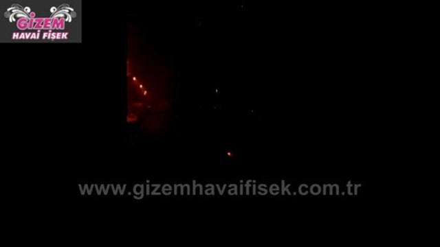 2 İnç Kaktüs Havai Fişek