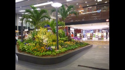 AEROPORT DUBAI ET SINGAPOUR