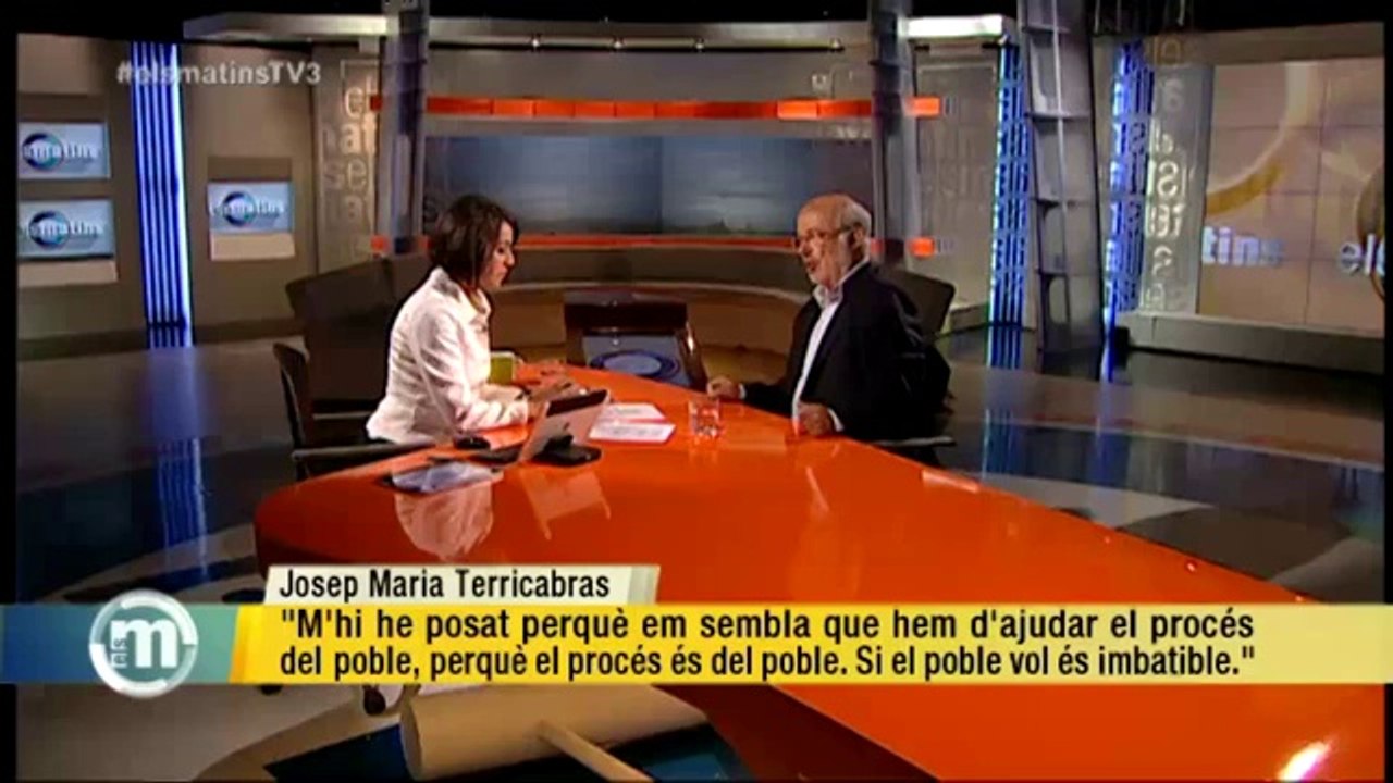 TV3 - Els Matins - Terricabras: "S'ha de fer la consulta encara que no hi hagi acord amb Madrid ni