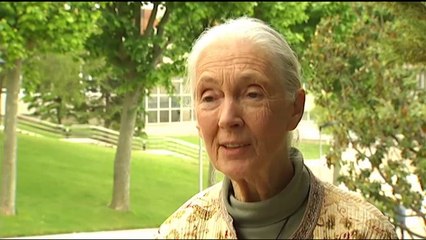 Espai Terra. Dilluns 12 de maig