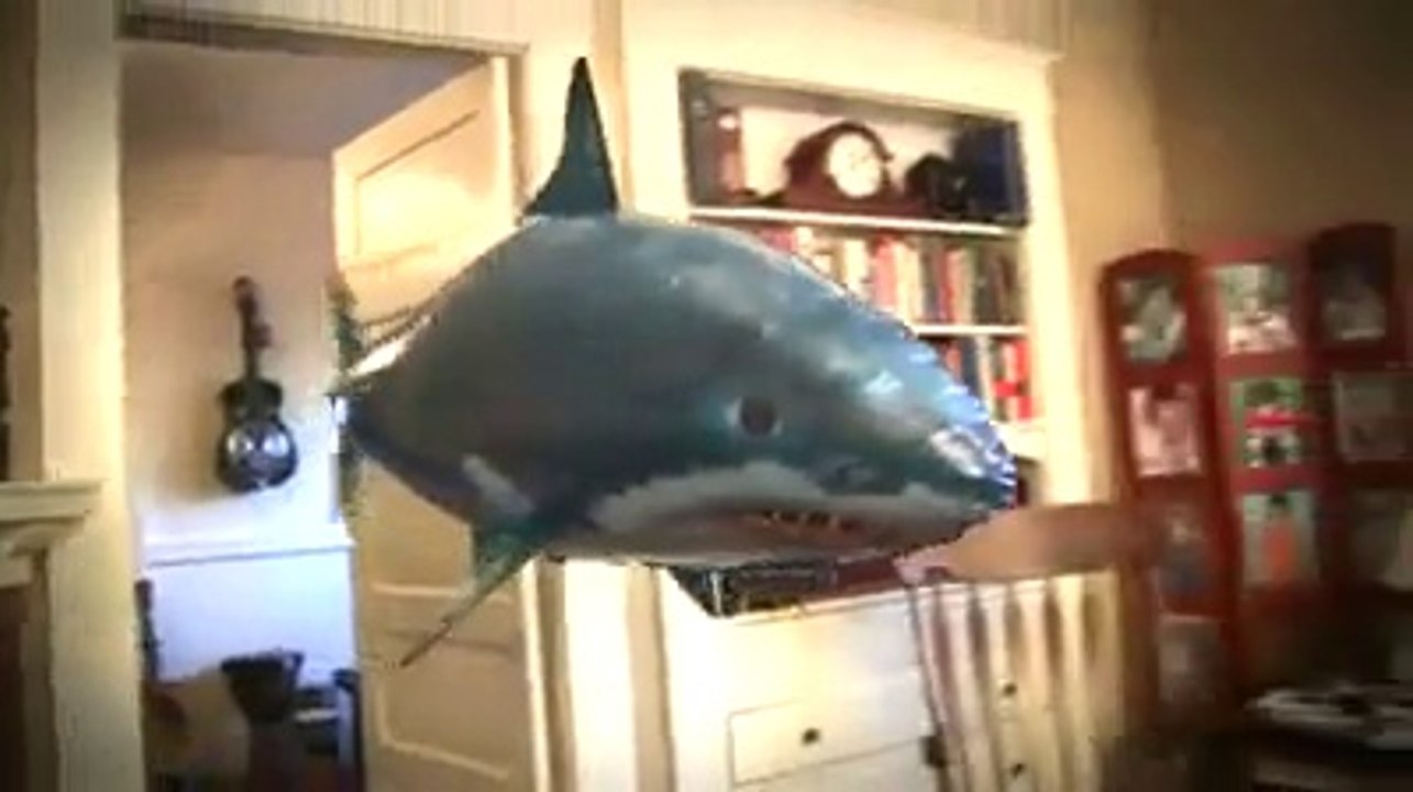 shark