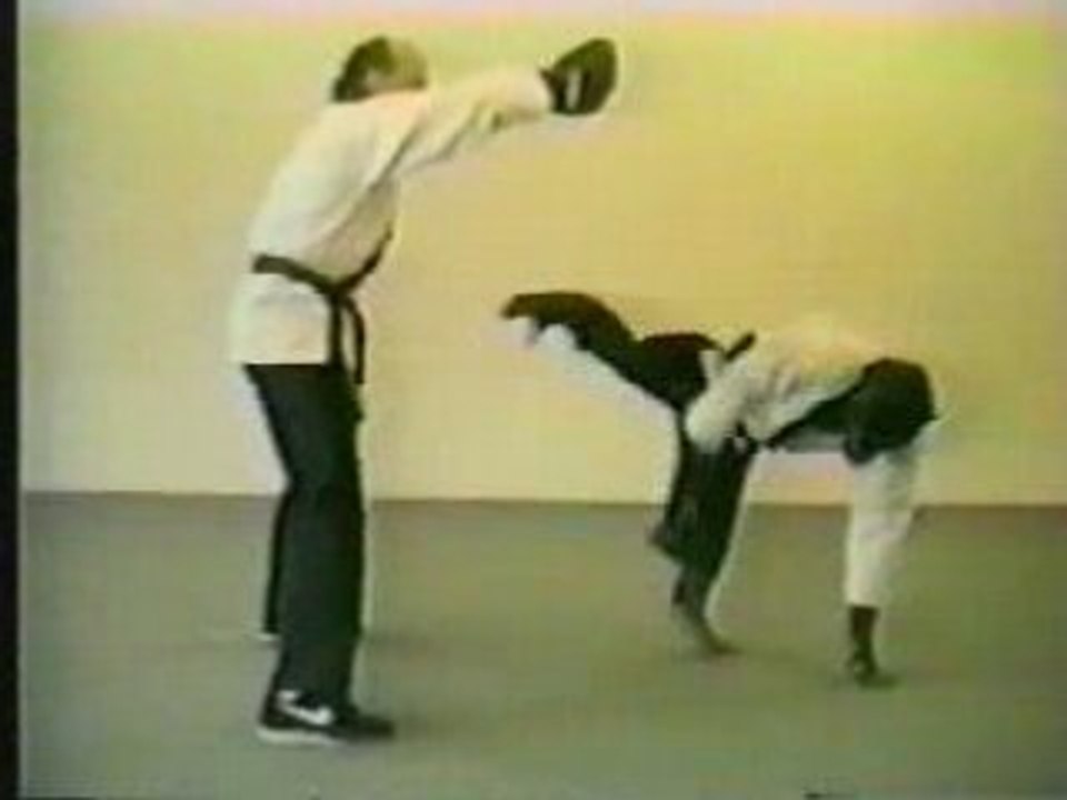 kung fu con una scimmia?