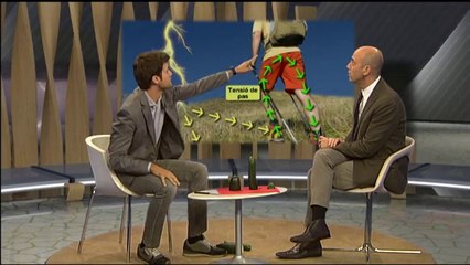 Espai Terra. Dimecres 7 de maig