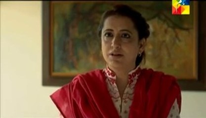Dil ka Darwaza Episode 54 Full on Hum Tv