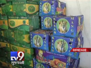 17,000 Kg Artificially ripened mangoes seized in Ahmedabad - Tv9 Gujarati