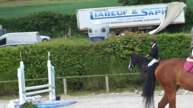 Ambre d'Elincourt CSO 4 ans Villers Vicomte le 12 mai 2014