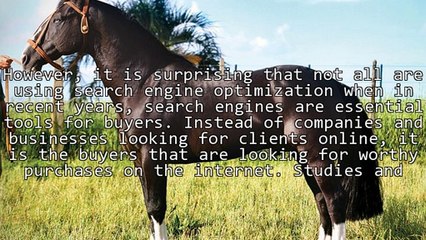 Tips To Keyword Efficiency