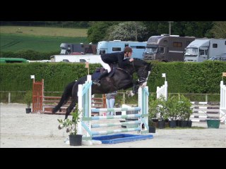 AMBRE D'ELINCOURT, mâle SF noir né en 2010 en CSO