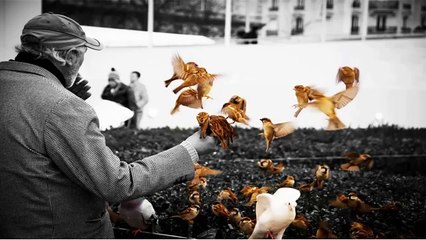 Warmth_Eng_subs_-_Muhammad_Al_Muqit