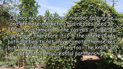 Online Casino Affiliate Marketing: Making Casinos Work For You