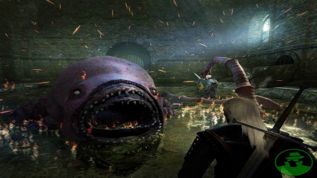 The Witcher