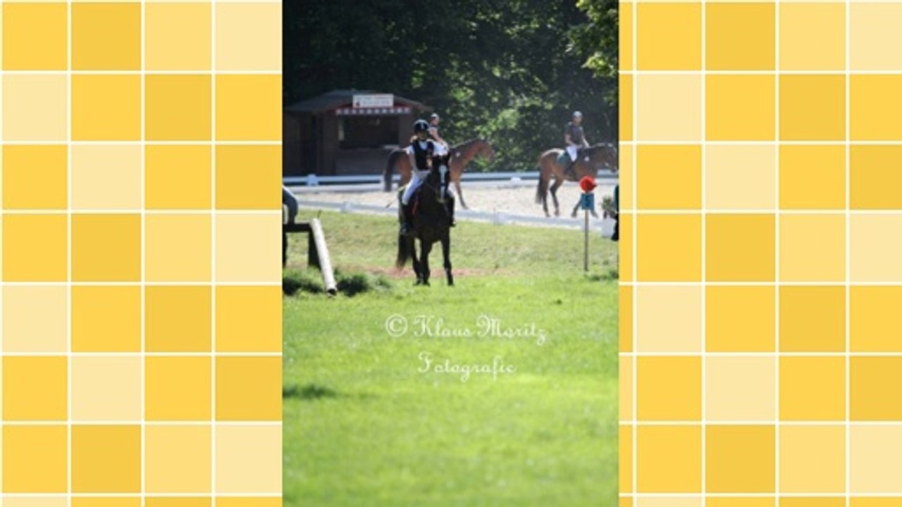 Learning to Use Internet Business Directories